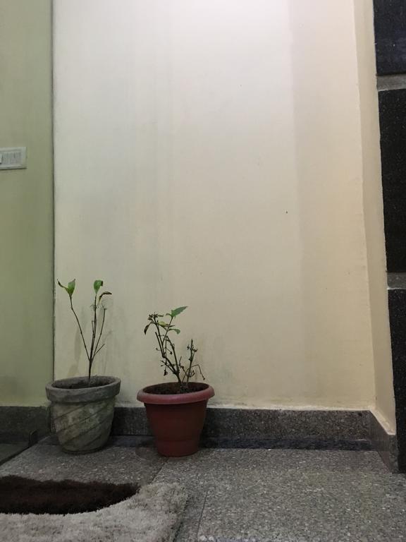 Hotel Vintage Inn New Delhi Exterior photo
